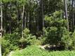 2914 SW Blue Sky Dr , Supply, NC