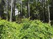 2916  Blue Sky Dr , Supply, NC