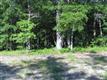 2824  White Dove Cir SW, Supply, NC