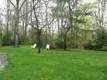 138 Tubman Rd, Brewster, MA 02631