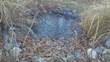 18 Dogwood Dr, Forestdale, MA 02644
