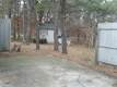24 Frank Doyle Rd, South Dennis, MA 02660
