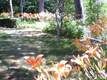 52 Dillingham Rd, Brewster, MA 02631