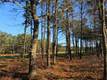525 Grand Island Dr, Osterville, MA 02655