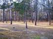 136 Lower County Rd, West Harwich, MA 02671