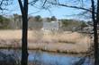 80 Crocker Dr, Hyannis, MA 02601