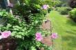 106 Tisquantum Rd, Chatham, MA 02633