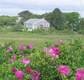 25 Bob White Ln, South Harwich, MA 02645