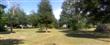 0  Frances Ave , Falmouth, MA