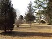 0 Frances Ave, Falmouth, MA 02540