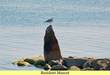 35 Shore Rd, West Harwich, MA 02671