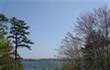 15 Horseshoe Bend Way, Mashpee, MA 02649