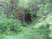 6155-65  Hawes Rd , Guilderland, NY