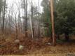 855 Babcock Lake Rd, Grafton, NY 12138