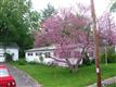 3608  Rt 67 , Freehold, NY