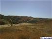 12080  Browns Canyon Road 