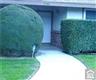 2044 N Palm Ave Avenue 