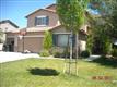 780  Allepo Pine Street 