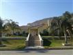 11968  Pine Street , Bloomington, CA
