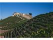 340 N Kanan Dume Road 
