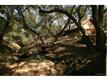 44270 El Prado Road, Temecula, CA 92590
