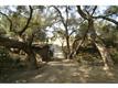 44270 El Prado Road, Temecula, CA 92590