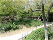 1506  Indiana Avenue , South Pasadena, CA
