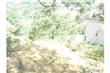 2131  Hanscom Drive , South Pasadena, CA