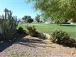 33547  Acapulco Trial , Thousand Palms, CA