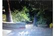 224  Mockingbird Lane , South Pasadena, CA