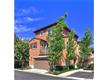 12  Datepalm , Irvine, CA