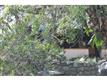 593  Sturtevant Drive 