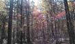 lot 5, 6 etc  Brown Road 