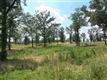 Lot 16 Salina Springs, Benton, AR 72019