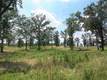 Lot 16 Salina Springs, Benton, AR 72019