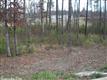 7310  Palm Beach , Benton, AR