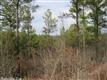 Tract 1  Lake Norrell Rd. , Alexander, AR