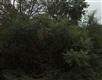 7919  Lee Summit , Little Rock, AR