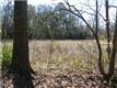 0 River Rd, Charleston, SC 29455