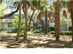 2339  Andell Way 