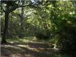 2321  Sadie Ln 
