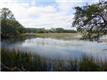 1799 Tacky Point Rd Ext, Wadmalaw Island, SC 29487