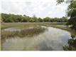 1928 Longcreek Rd, Wadmalaw Island, SC 29487