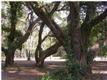 0 Hart Rd, Rockville, SC 29487