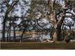 0  Fairview Plantation Rd , Wadmalaw Island, SC