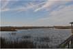0 Fairview Plantation Rd, Wadmalaw Island, SC 29487