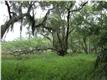 209  River Oak Dr , Mount Pleasant, SC