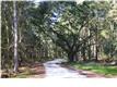 6  Bohicket Estates Dr , Johns Island, SC