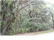 2168  Loblolly Ln , Seabrook Island, SC