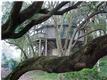 4  Dune Crest , Seabrook Island, SC